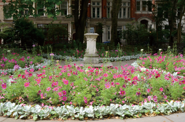 近くで見かけた街角の植え込みと同じテクニックを使った花壇。縁取りはシルバーリーフのシロタエギク、中はピンクのコスモスで埋め尽くされています。高さに変化をつけるのはピンクのクレオメや銀葉のグラスなど。両側の花壇も統一されているから見事です