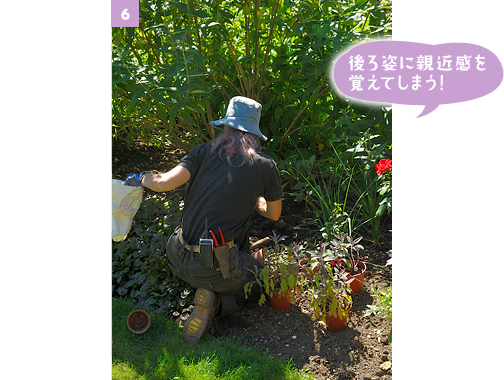 ［6］日陰のエリアの一年草を植え替えていたガーデナー。長さ約40mのボーダー花壇だから、季節の植え替えも結構大変そう……
