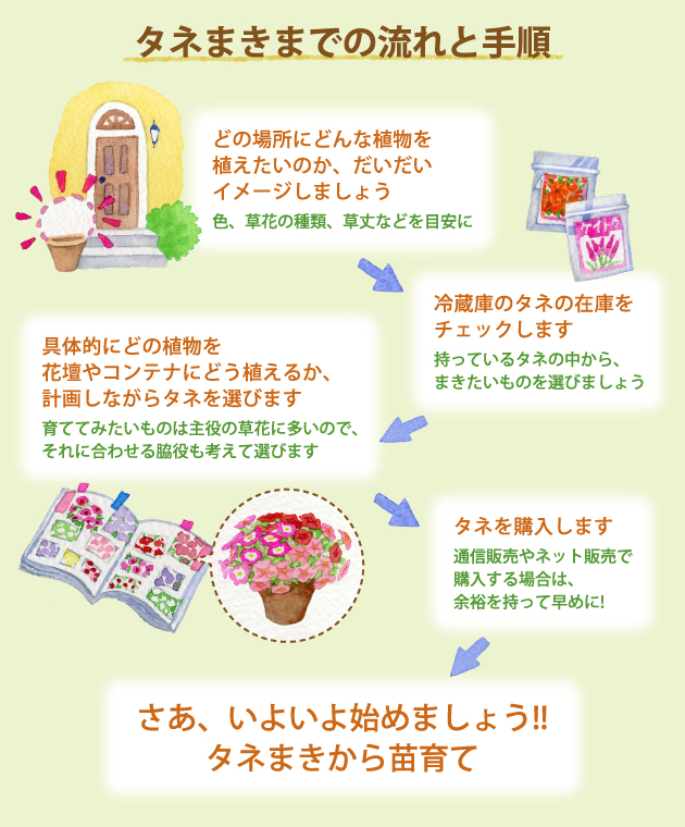 イラスト：阿部真由美