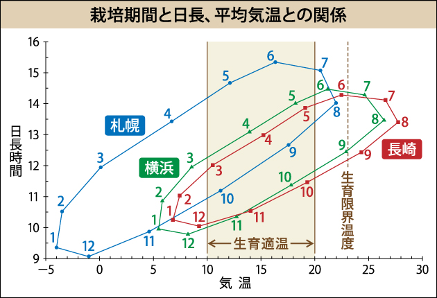 『農業技術体系・作物編』（農文協）P168第2図「ジャガイモ栽培期間と日長、平均気温との関係（理科年表から）」を改編※図中の数字は月を表す