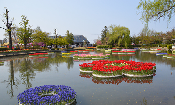ひょうたん池に浮かぶ水耕栽培の花壇