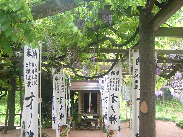 藤棚の下にまつられた「才ノ神」