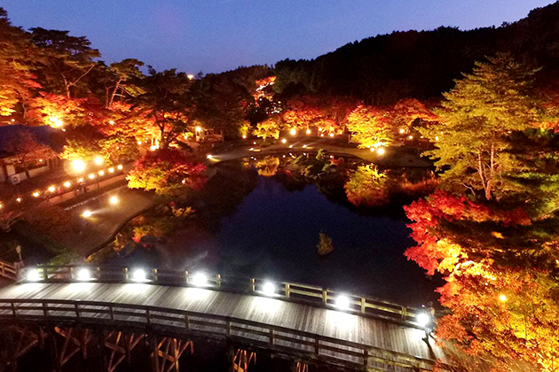 澄んだ夜空に浮かび上がるさまざまな種類のモミジ
