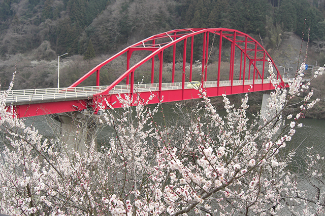 月ヶ瀬のダム湖（名張川）にはきれいな橋が2つ架かっている