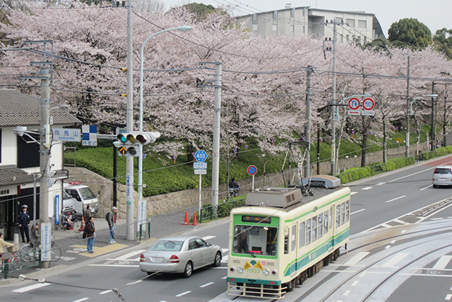 公園からは電車をはじめバス、都電荒川線などさまざまな乗り物を見下ろすことができる