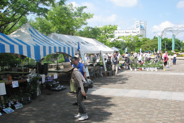 クレマチスフェアは多くの人でにぎわう