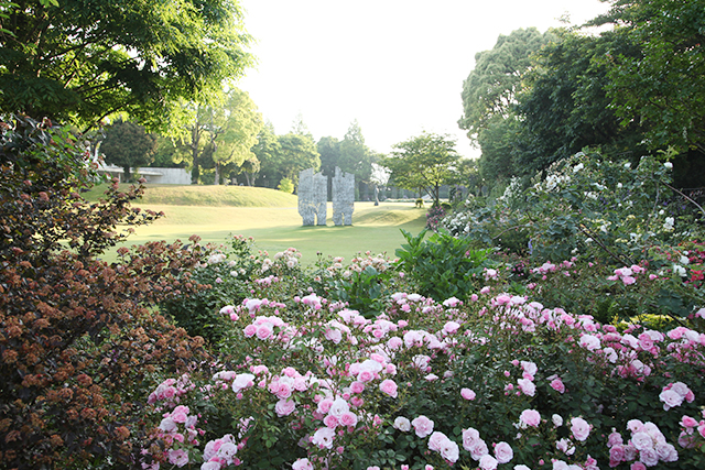 深い緑に囲まれた園内はクレマチスだけではなく、季節の花々も美しい