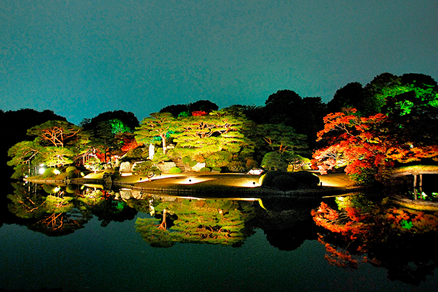 ライトアップ期間は最終入園20：30、閉園21：00だから仕事帰りにゆっくり立ち寄れそう