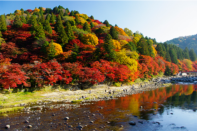 巴川にかかる巴橋から眺める紅葉。ここからは飯盛山の全景を楽しむことができる