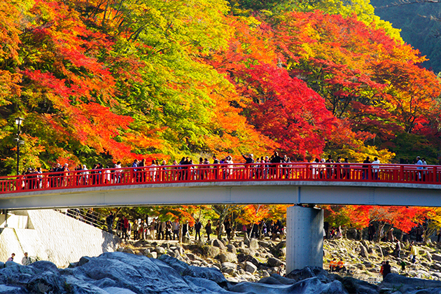 待月橋（たいげつきょう）は香嵐渓のシンボル的な存在。撮影スポットとして人気がある場所