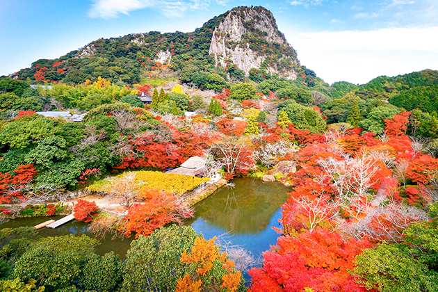 御船山のふもとに広がる色とりどりの紅葉