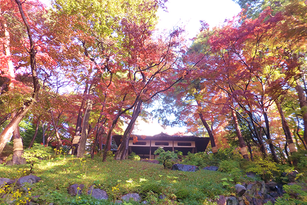 数寄屋造り風の茶室「紅葉亭」。茶室は、茶会や句会などに利用できる