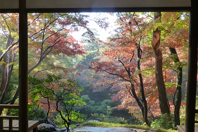 「紅葉亭」から見下ろす紅葉と池の眺めは絶景