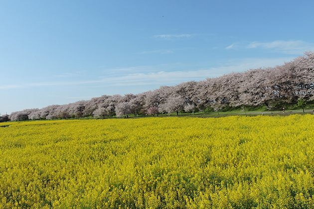 雄大な景色は写真スポットとしてもぜひおすすめしたい