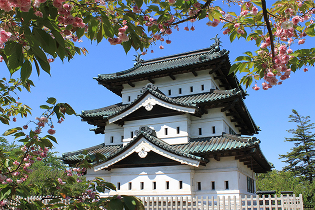 弘前城の天守とヤエザクラ