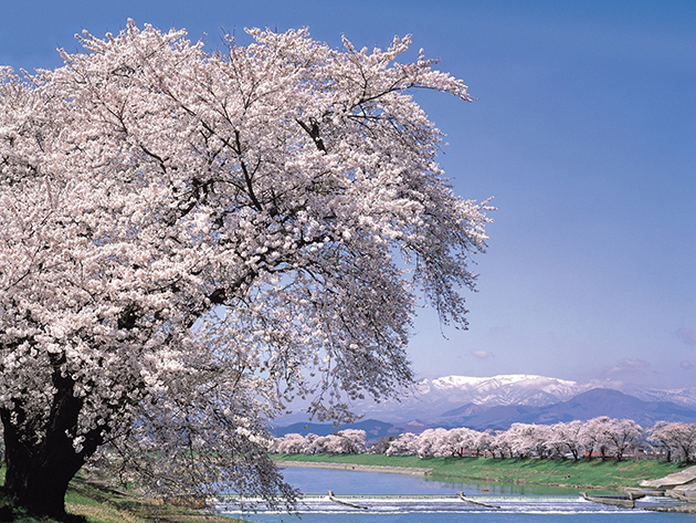 大河原町を代表する絶景スポット「韮神堰（にらがみぜき）」