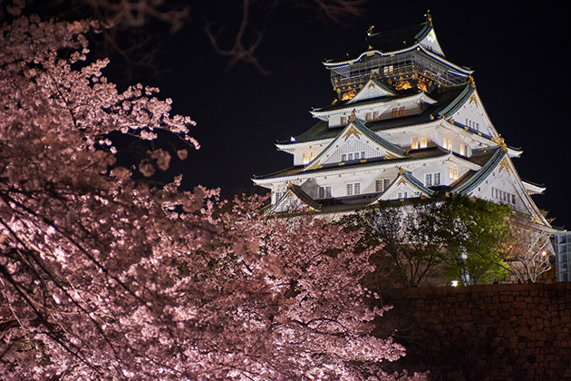 夜間はサクラがライトアップされ、限られた季節の夜にしか味わえない天守閣が楽しめる
