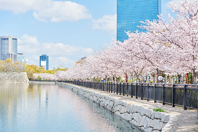 外堀に沿って桜並木が続いており、撮影スポットとしても人気が高い
