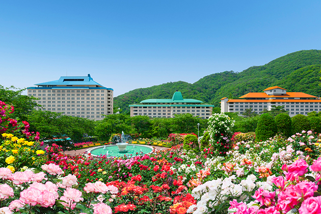 花巻温泉バラ園とホテル３館が共演する６月、春のバラが最盛期の写真。夜はナイトローズガーデンとして楽しめます。