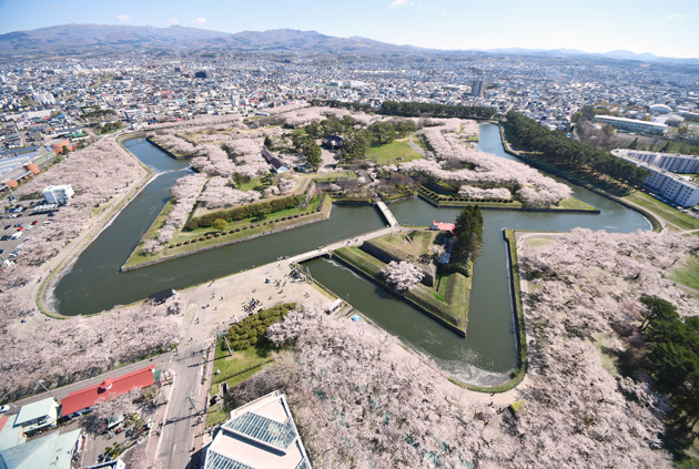 五稜郭タワーの展望台から見た、サクラ満開の特別史跡「五稜郭跡」