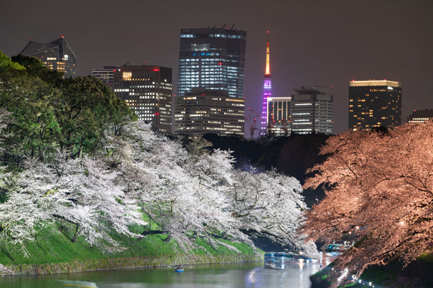 夜間の幻想的な景色は見ごたえがあります。