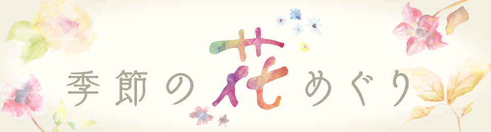 季節の花めぐり