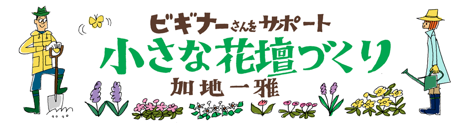 ビギナーさんをサポート小さな花壇づくり