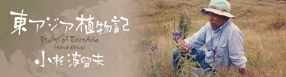 東アジア植物記