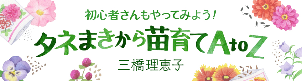 初心者さんもやってみよう! タネまきから苗育てAtoZ