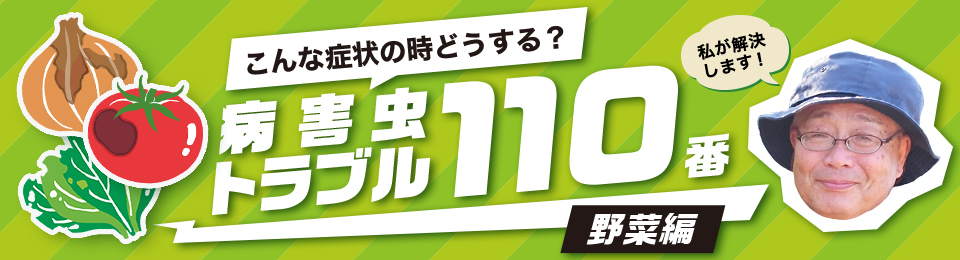 こんな症状の時どうする？ 病害虫トラブル110番［野菜編］