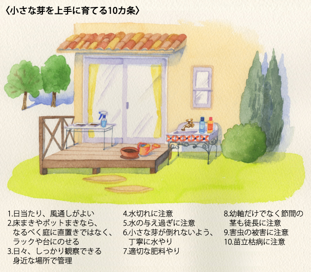 イラスト：阿部真由美