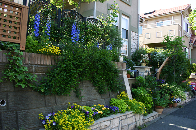青色と黄色の花でまとめた春の玄関側の花壇。色の分量の配分でイメージは変わります