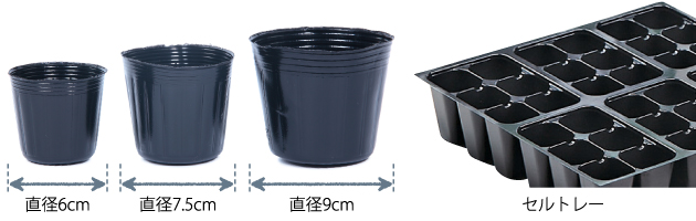 ポリ鉢は柔らかい素材でできているので、根鉢を出しやすく、根を傷めません。タネの大きさに合わせてサイズを使い分けますが、小粒以下のタネなら直径6cmのものが使いやすく、多粒まきなら直径9cmのものを使います。またポリ鉢の代わりにセルトレーも使えます