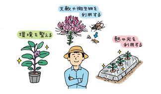 有機農法百科―農薬を使わない病虫害防除法