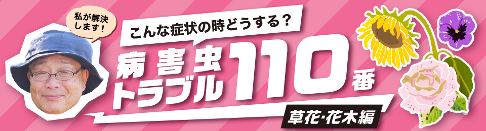 こんな症状の時どうする？ 病害虫トラブル110番［草花・花木編］