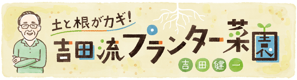 土と根がカギ 吉田流プランター菜園