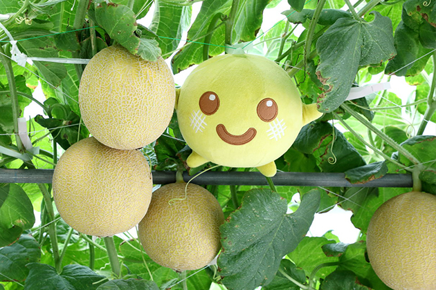 ネットメロン「ころたん(R)」のキャラクター「ころた」