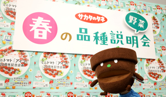 暑さ対策に着目した品種選び、土づくりなどのご提案！サカタのタネ