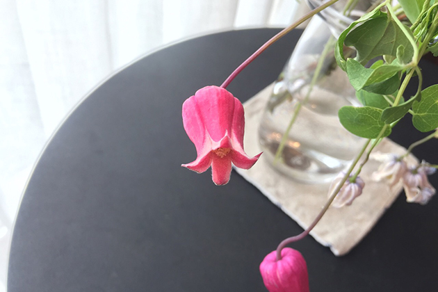 「天使の首飾り」
