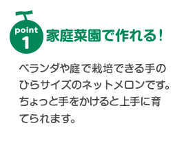 家庭菜園で作れる！ | ベランダや庭で栽培できる手のひらサイズのネットメロンです。ちょっと手をかけると上手に育てられます。