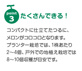 たくさんできる！ | コンパクトに仕立てたつるに、メロンがコロコロとなります。プランター栽培では、1株あたり2～4個、戸外での地植え栽培では8～10個収穫が目安です。