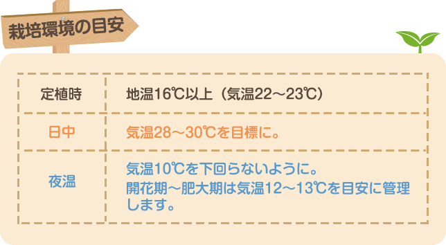 栽培環境の目安