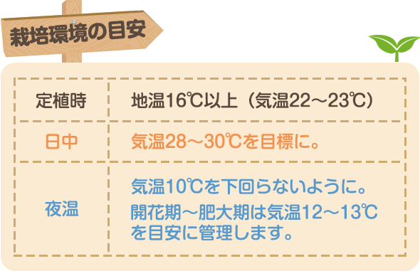 栽培環境の目安