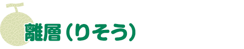 離層（りそう）