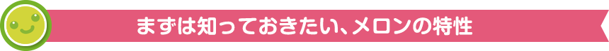 まずは知っておきたい、メロンの特性
