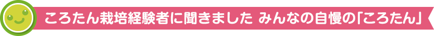 ころたん栽培経験者に聞きました みんなの自慢の「ころたん」