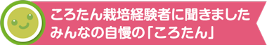 ころたん栽培経験者に聞きました みんなの自慢の「ころたん」