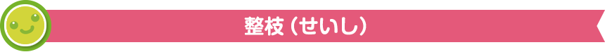 整枝（せいし）