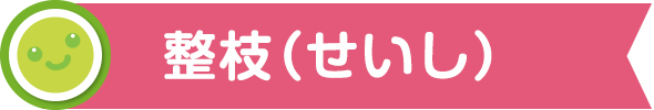 整枝(せいし)
