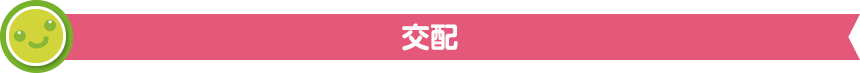 交配